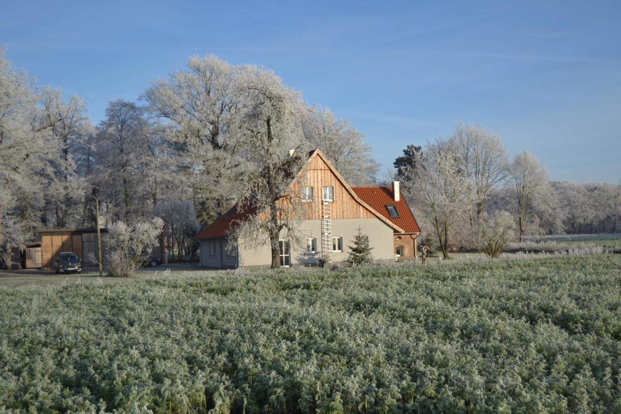 Apartment Zum Heuerling Ferienwohung Leinenstube Mit Sauna Versmold
